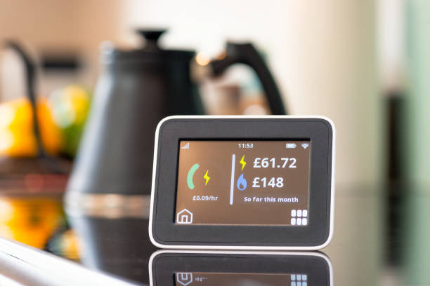 Smart Monitoring, Smarter Savings: The Rise of IoT Energy Meters